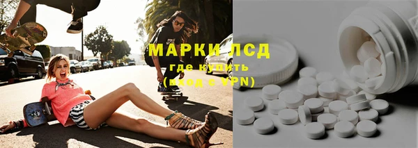 крисы Зерноград