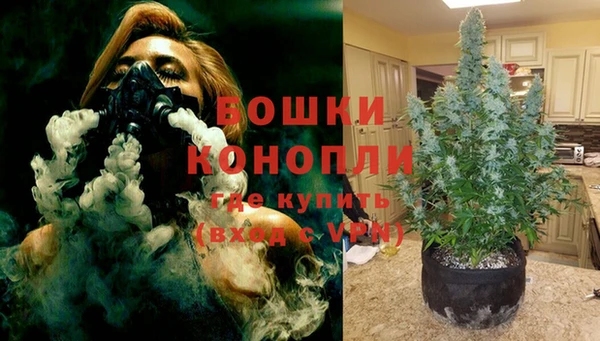крисы Зерноград