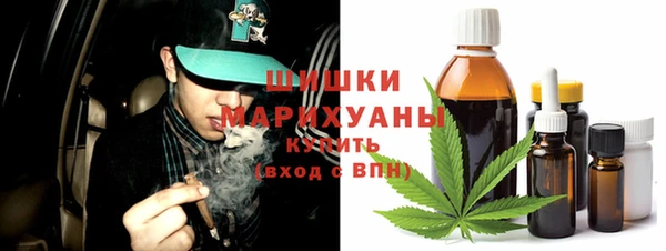 крисы Зерноград