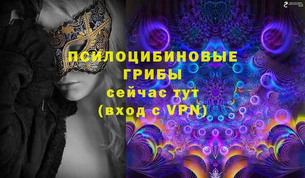 ГАЛЛЮЦИНОГЕННЫЕ ГРИБЫ Зеленодольск