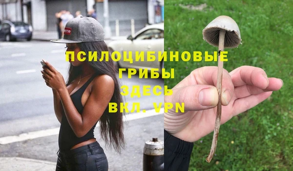 крисы Зерноград