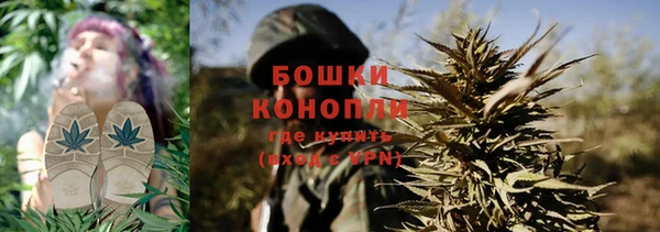 ГАЛЛЮЦИНОГЕННЫЕ ГРИБЫ Зеленодольск