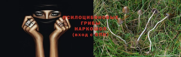 jwh Зеленокумск