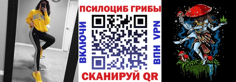 Купить  Дмитриев  Псилоцибиновые грибы Psilocybe 