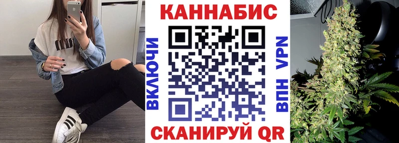 Купить где  Дмитриев  Конопля SATIVA & INDICA 